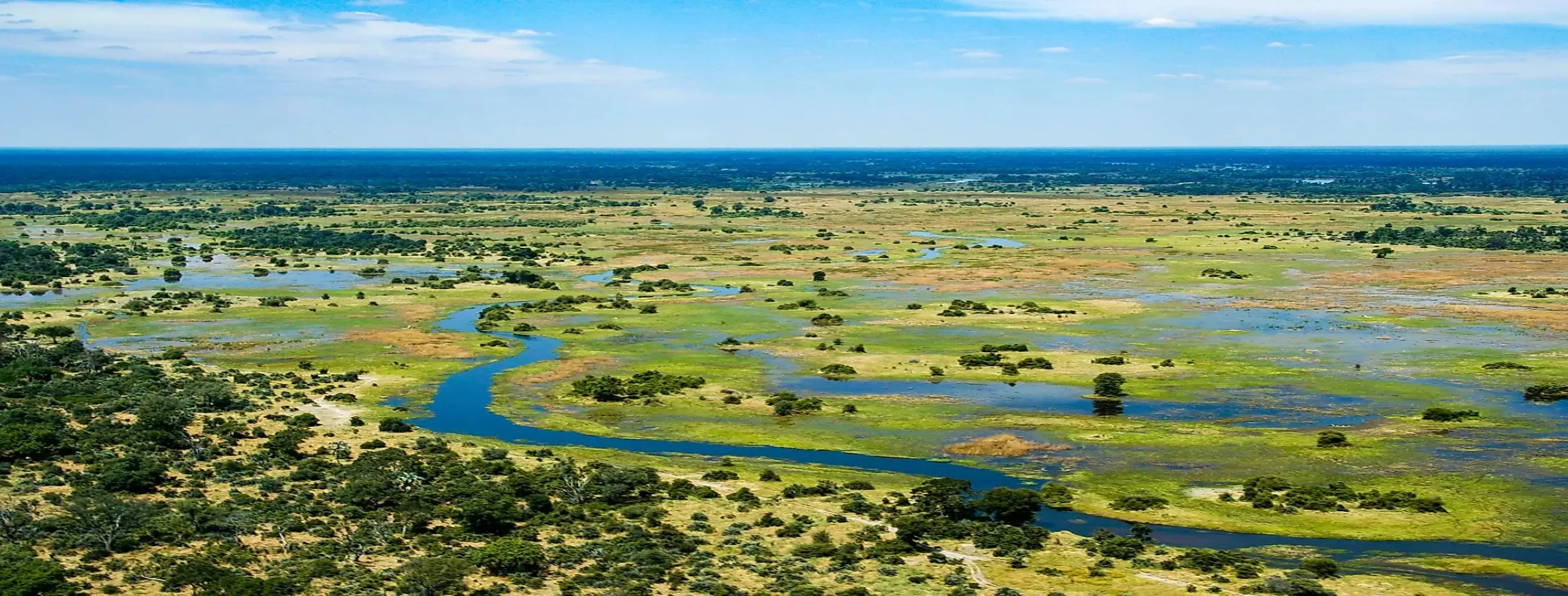 Image for Okavango Delta
